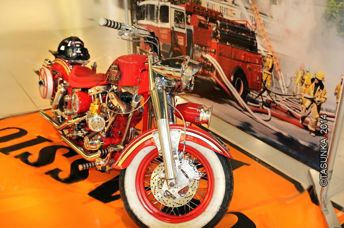 Harleys_CopyrightTasunkaphotos2014_12