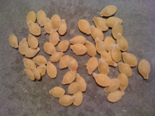 graines de courge