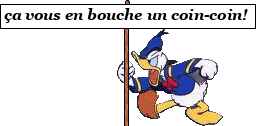 ça vous en bouche un coin-coin