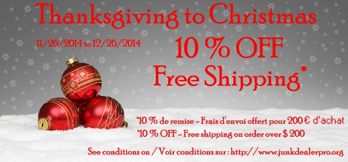 Thanksgiving to Christmas Offer