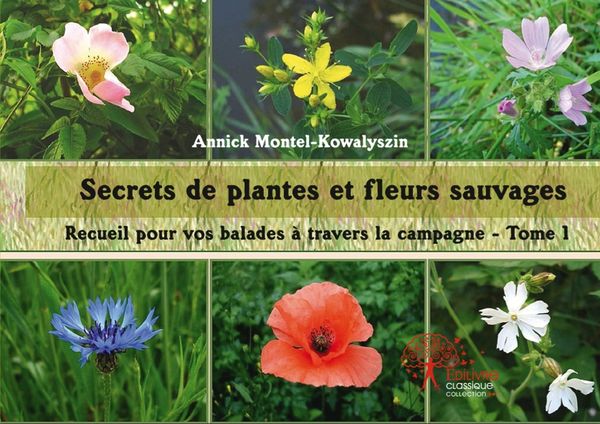 Secrets-de-Plantes