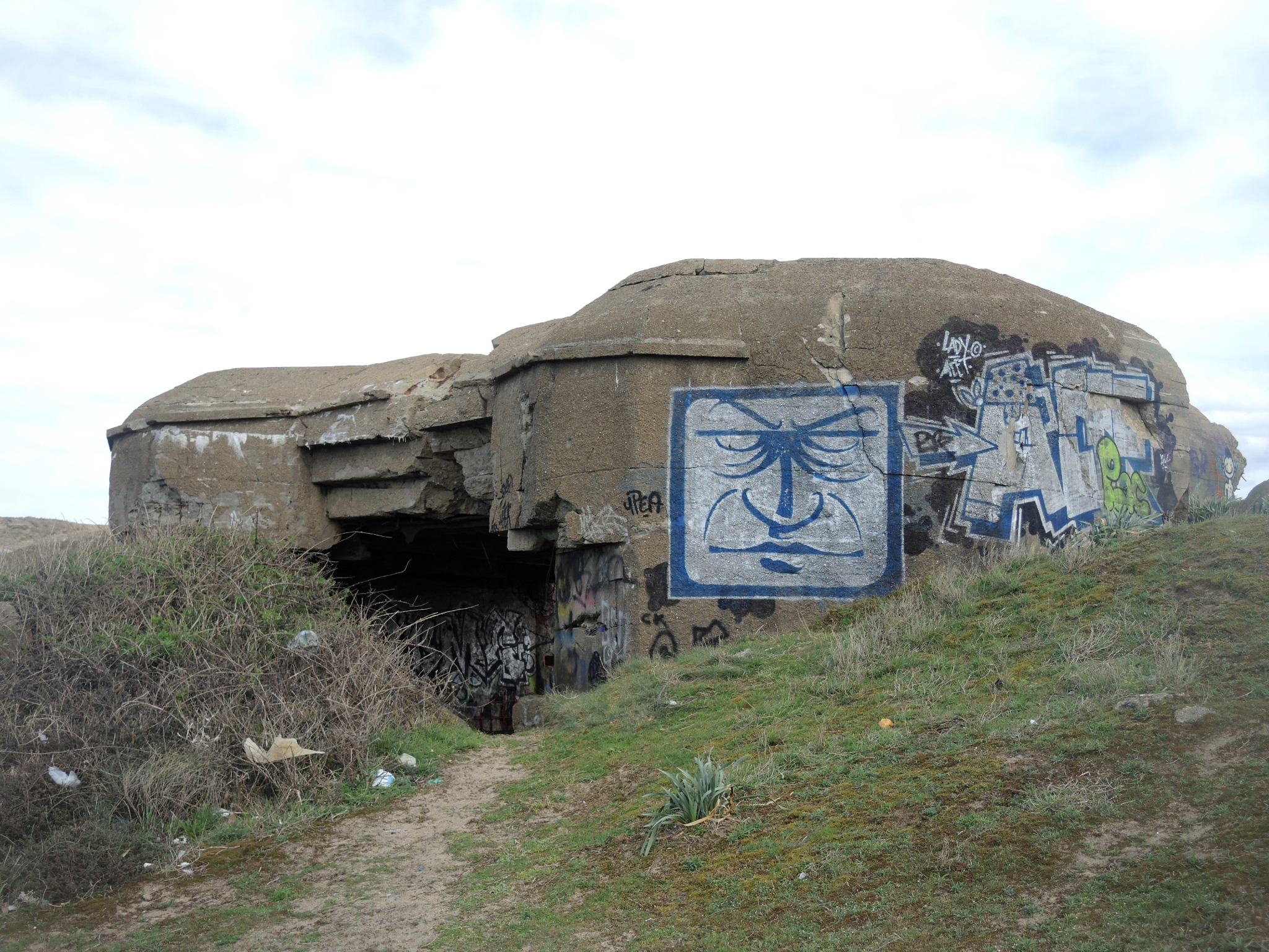 Tarnos, champ des blockhaus, visage sur béton (40)