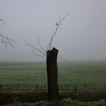2012-12-011