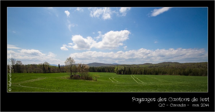 IMG_2553-naturelimages.com