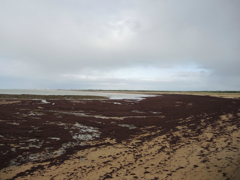 Saint-Hilaire-de-Riez, la plage (85)