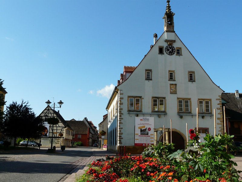Ingersheim (5)
