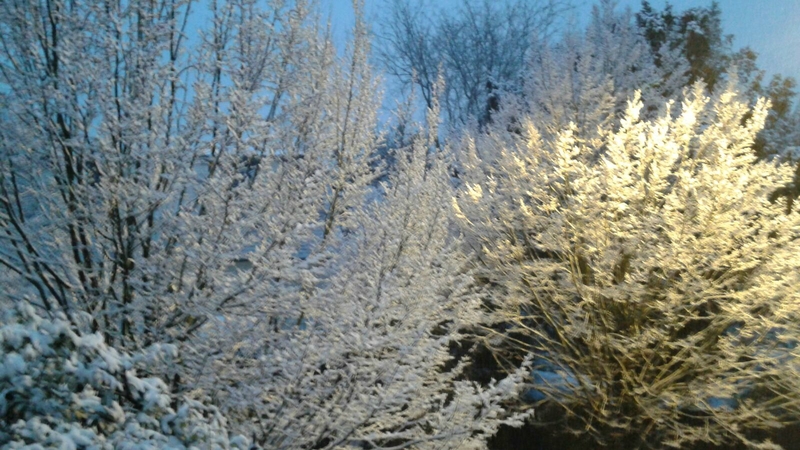 Val de Marne sous la neige (1)