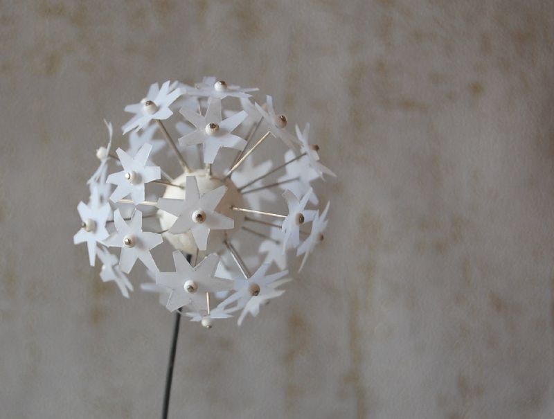 Fleur de pissenlit, détail