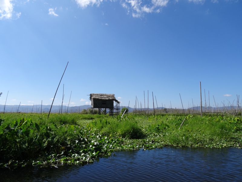 Lac Inle J3 (56)