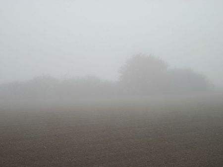 brouillard 005