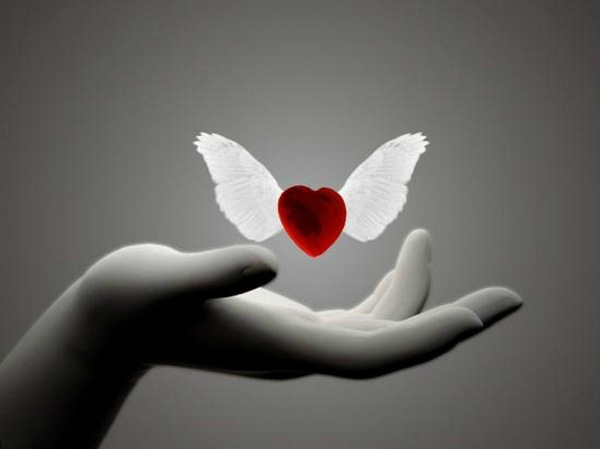 amour