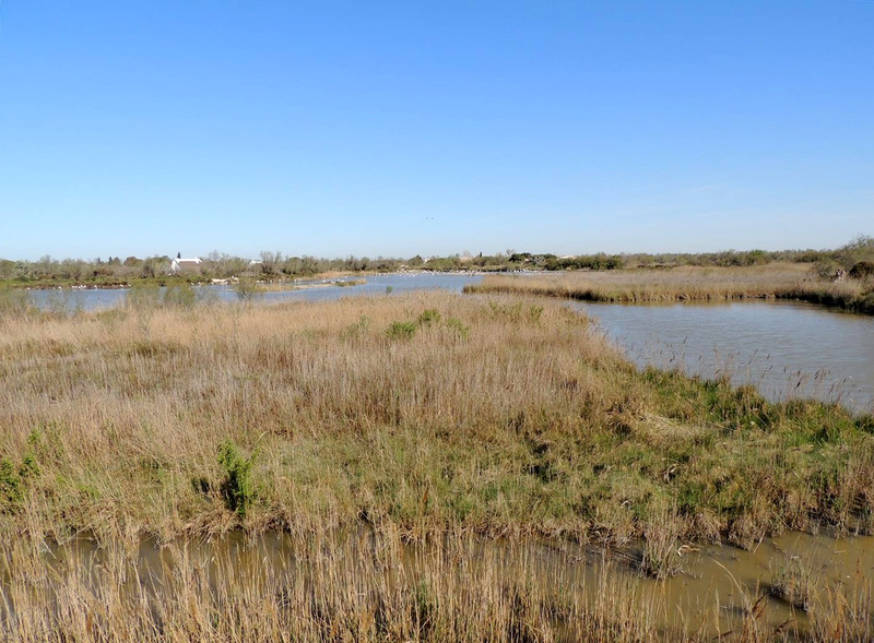 Parc ornithologique de Pont de Gau