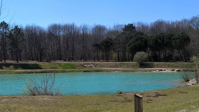 WP_20160402_15_14_27_Pro