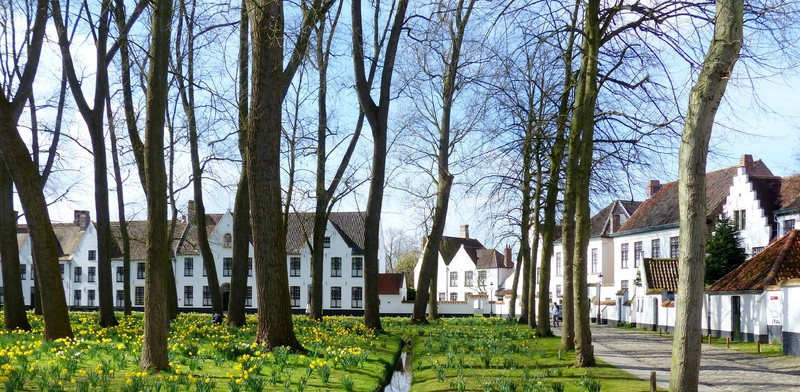 BRUGES le béguinage 27 mars 2015 (23)