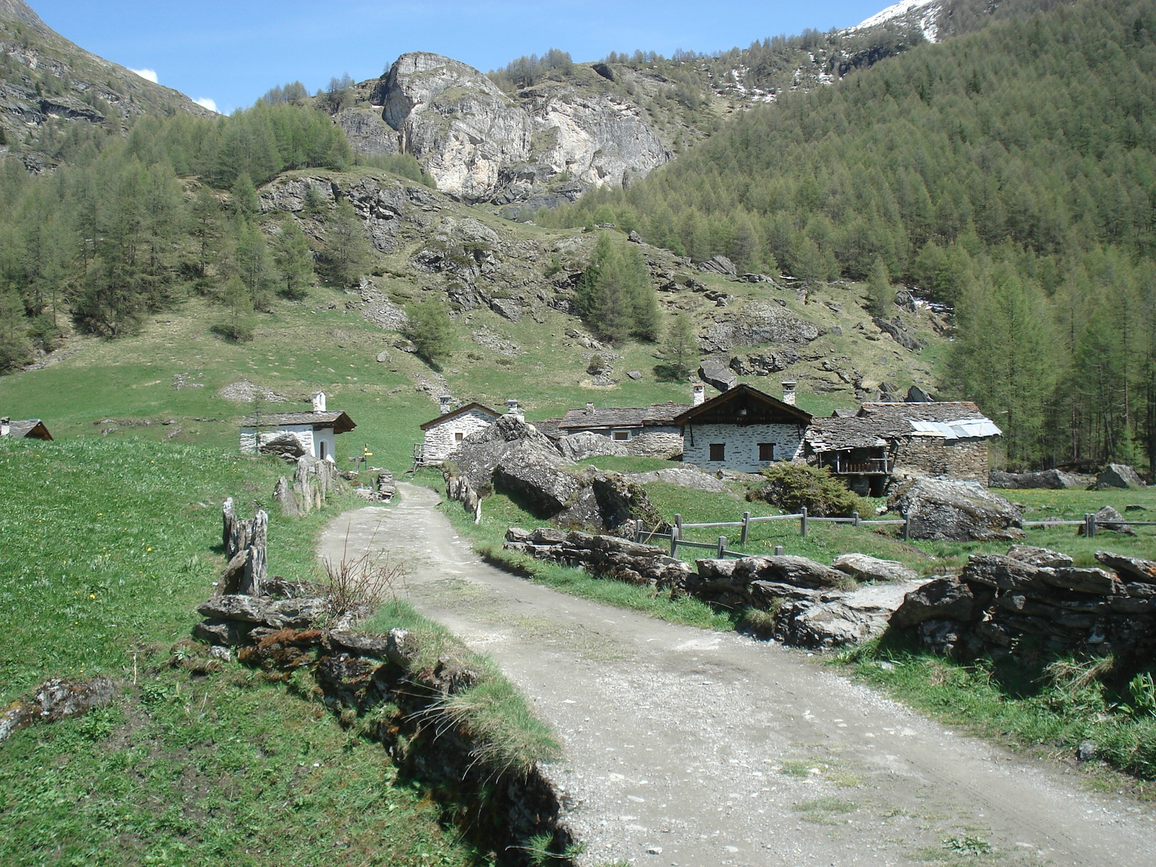 DSC05996