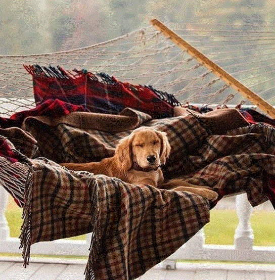 &hygge3