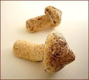 Meringues des bois