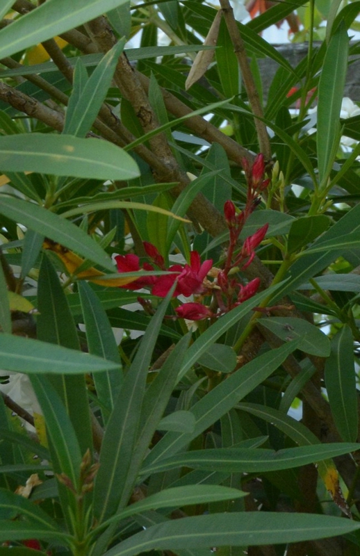 blog_028