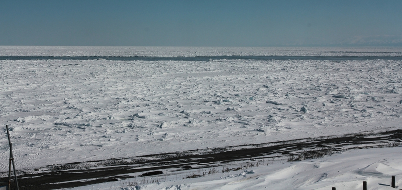IceTrip 2