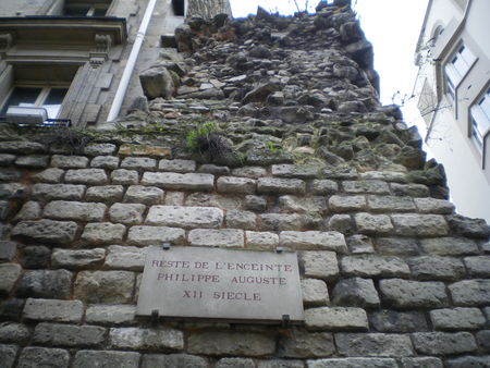 IMGP4395