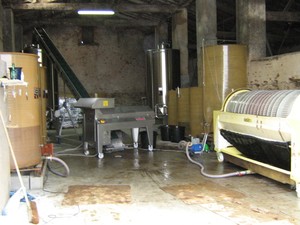 Vendanges_Aloha_06_031