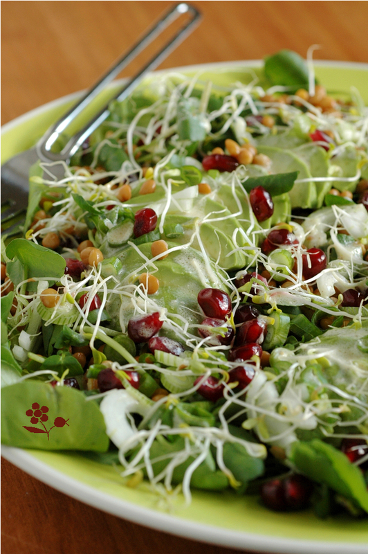Salade cresson lentilles