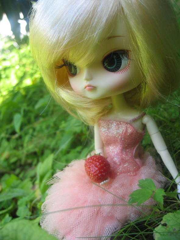 fraise02