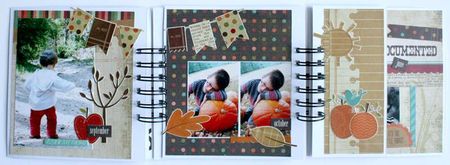 mini album 2011 006