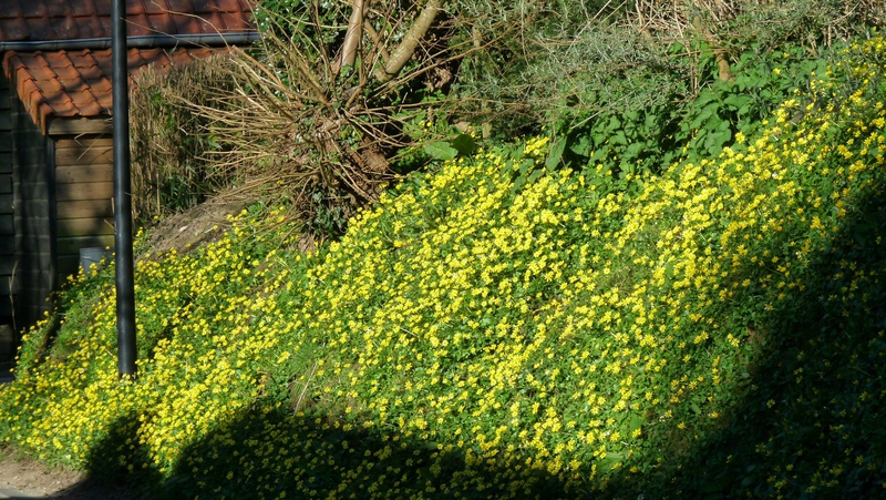 A39