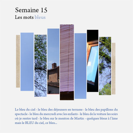 semaine15_copie