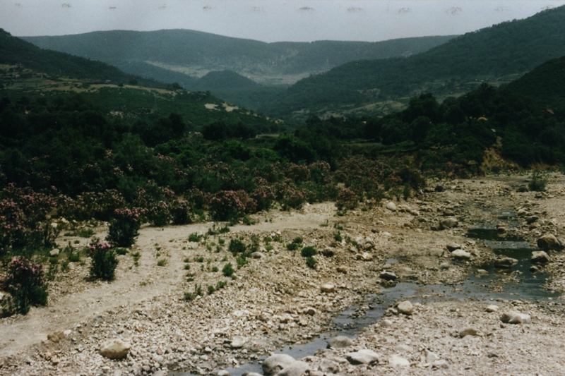 La rivière route de Snoussi