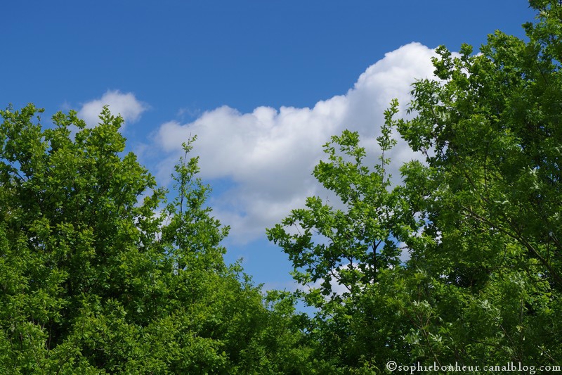 ciel de printemps
