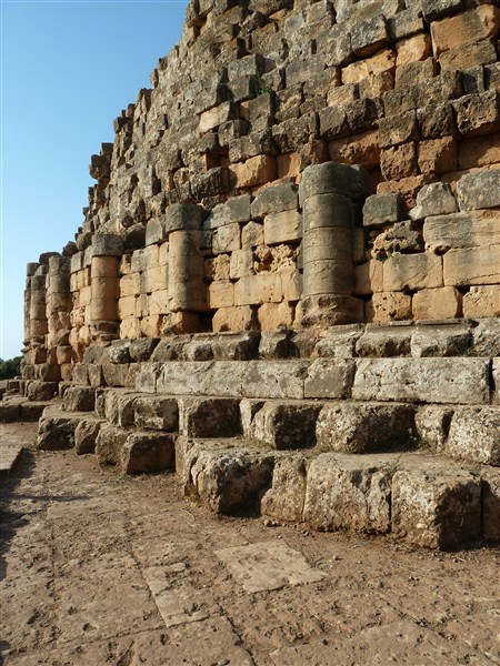 P1030771