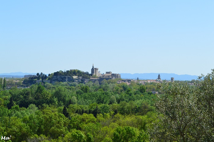 180417_fort_st_andre_2