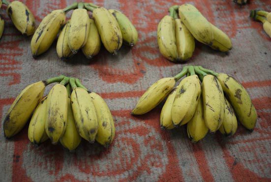 bananas