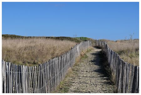 protections_dunes