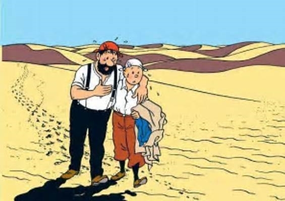 tintin et haddock désert