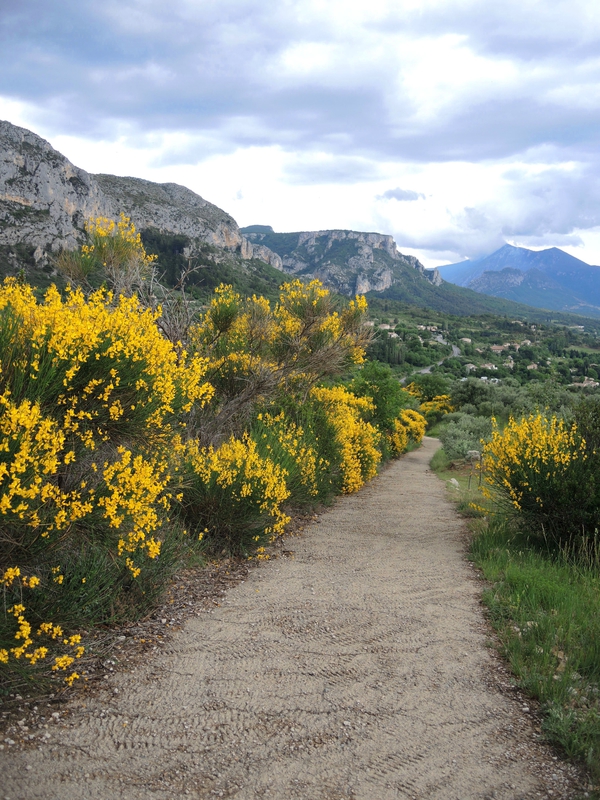 Moustiers-Sainte-Marie, panorama genets 7(04)