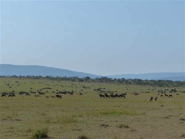 P1150067