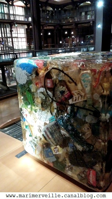 cube déchets d'une famille de 4 personnes en une semaine - museum paris -marimerveille