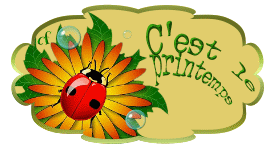 c'est le printemps coccinelle