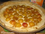 Tarte_aux_mirabelles_belles_et_fraises_du_jardin_avec_farine_T80_007