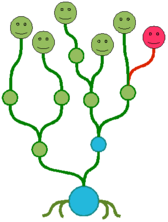 hydre2