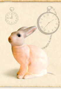 shop_rabbit_on