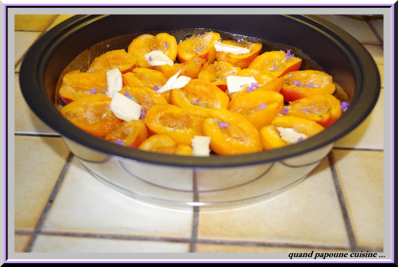 tatin d'abricots à la lavande-46