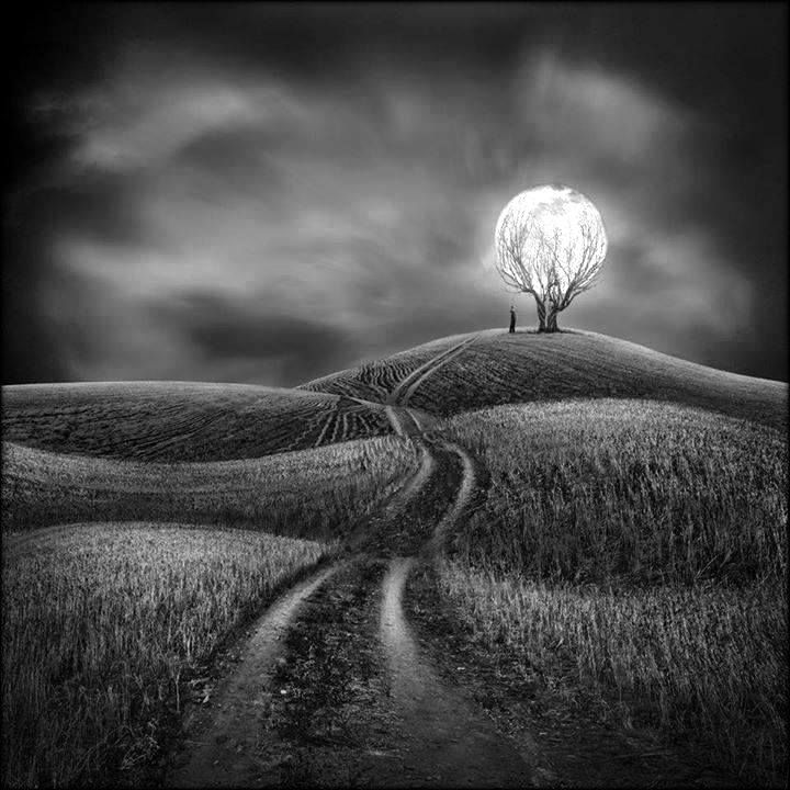 Sherry Akrami2