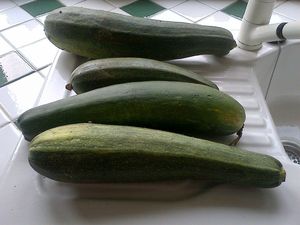 COURGETTES 1