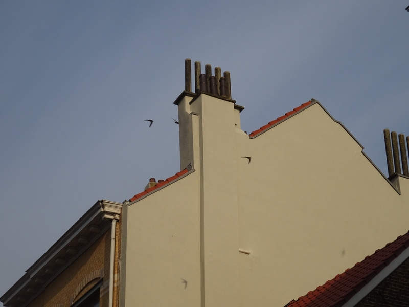 DSC08018