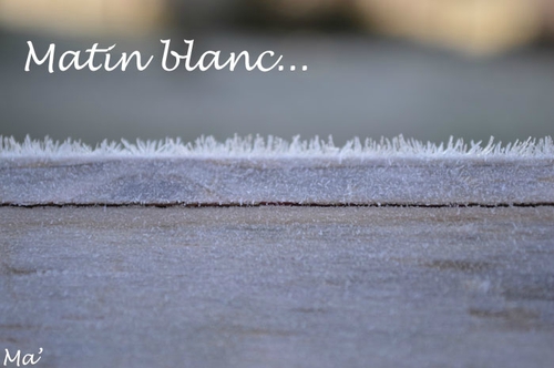 141223_matin_blanc0