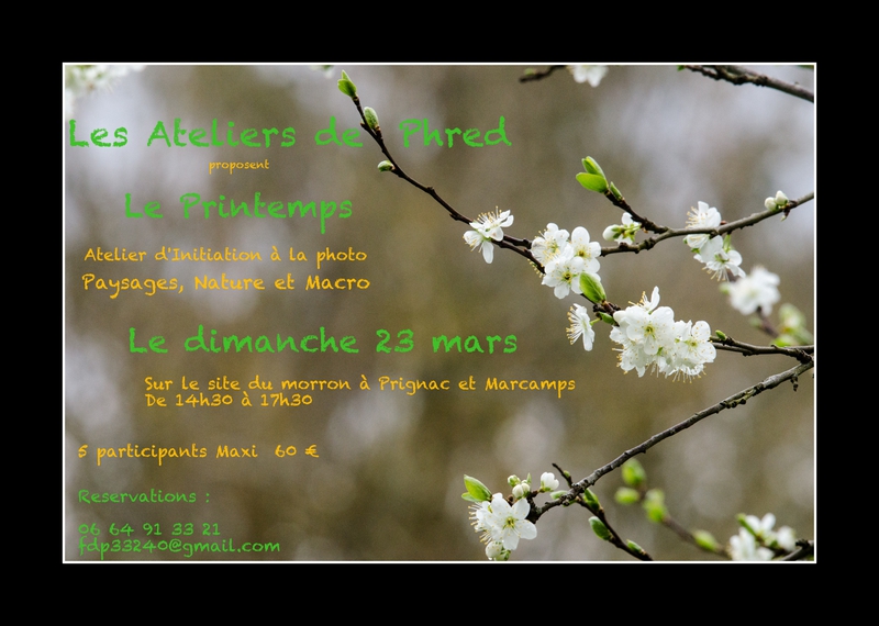 Affiche atelier printemps ©Phred 2014-2